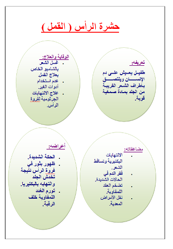 تفريغ قفي بدل ا من ذلك صناعة نظافة الشعر من القمل Cifomec Com